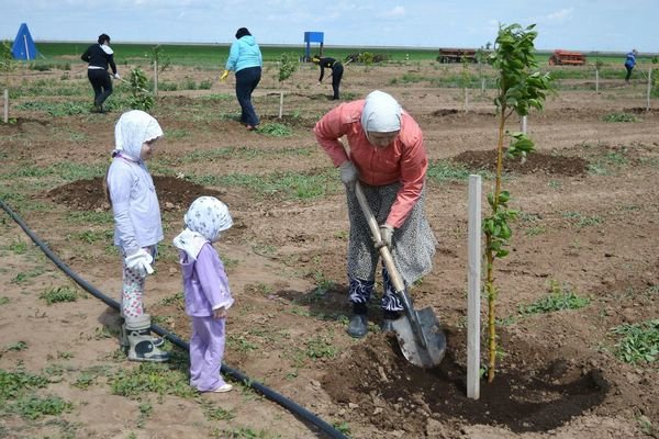 Огородно полевые работы