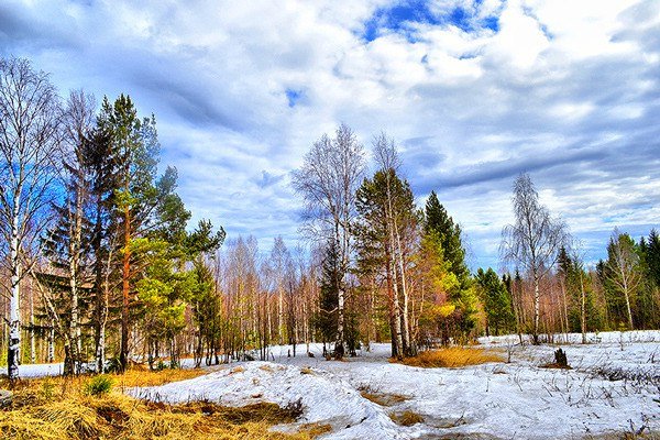 Природа Урала весной