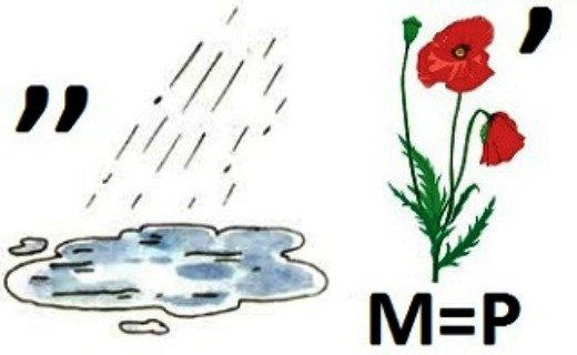 Ребус почка