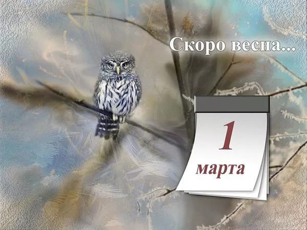 Здравствуй Весна