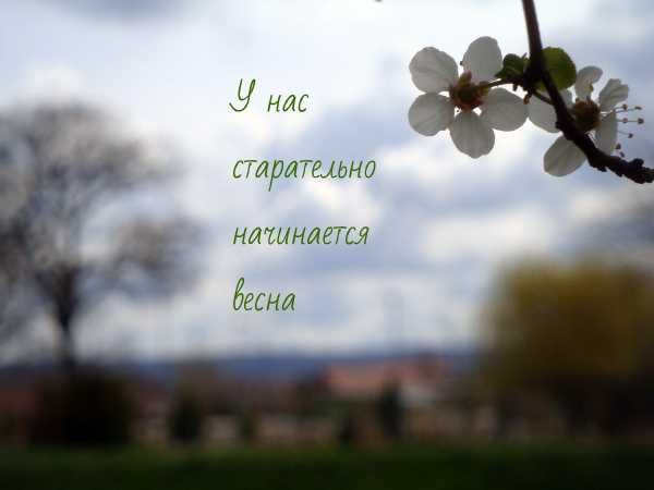 Высказывания о весне