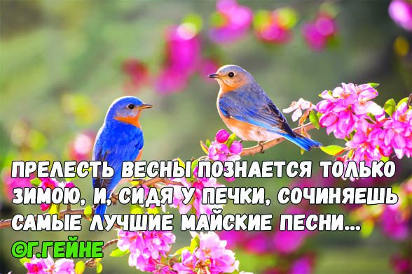 Высказывания про весну прикольные