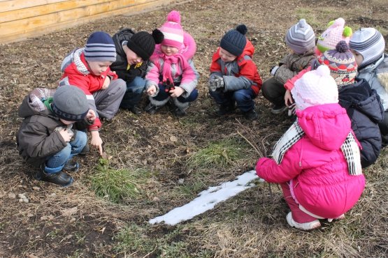 Иллюстрации природы для детей