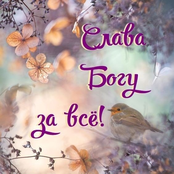 Слава беброу