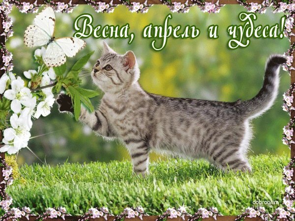 Здравствуй апрель