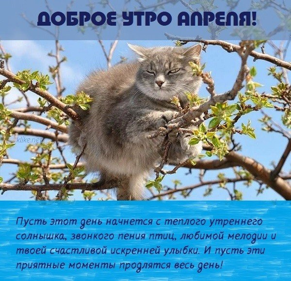 Весеннего настроения и душевного тепла