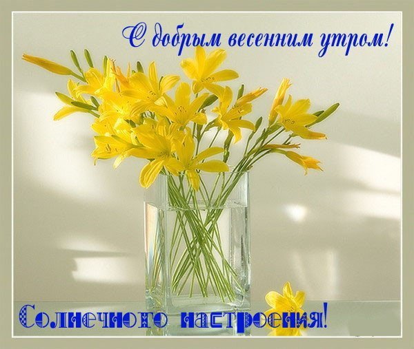 Пожелания доброго весеннего утра