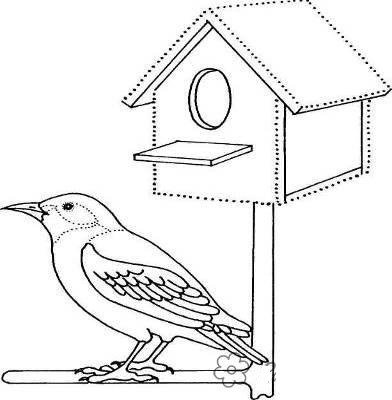 Скворечник раскраска