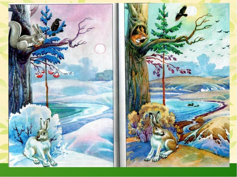 Сказка о жизни животных весной. Картины о весне для дошкольников. Жизнь животных весной для детей.