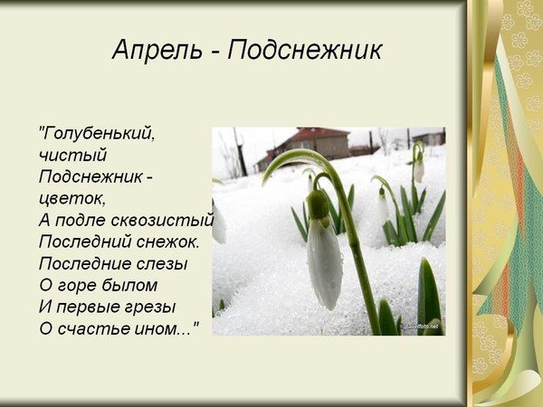 Стихи про ноябрь