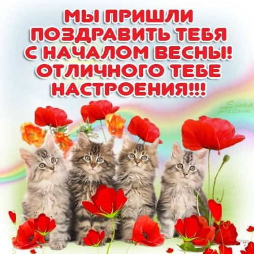 Картинки прикольные поздравления с днем весны прикольные (61 фото)
