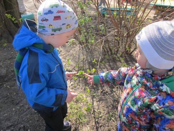 Весенняя прогулка в детском саду