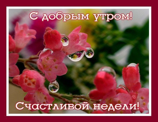 Отличной весенней недели