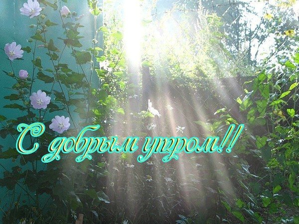 Красивые поздравления с добрым утром природа