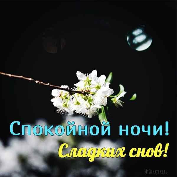 Спокойной весенней ночи