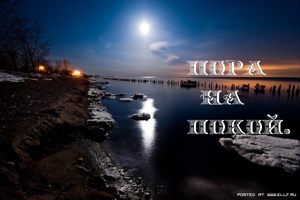 Спокойной весенней ночи