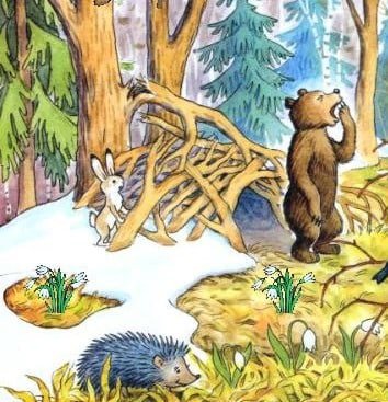 Медведь проснулся