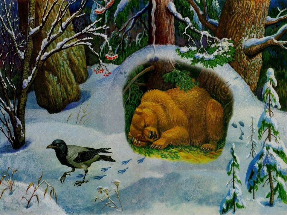 Жизнь животных весной сладкова сказки. Зимний лес Берлога медведя. Берлога медведя зимой в лесу. Картина медвежья Берлога Николаева. Жизнь животных зимой.