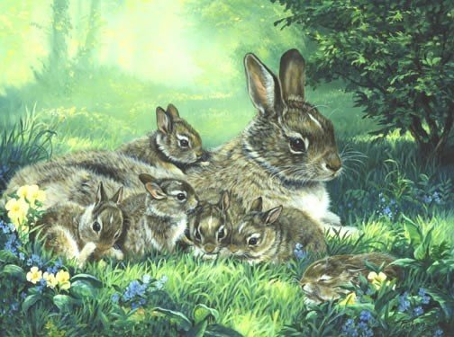 Зайчик картинка для детей