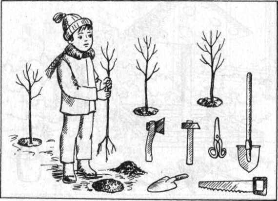 Осенний труд раскраска