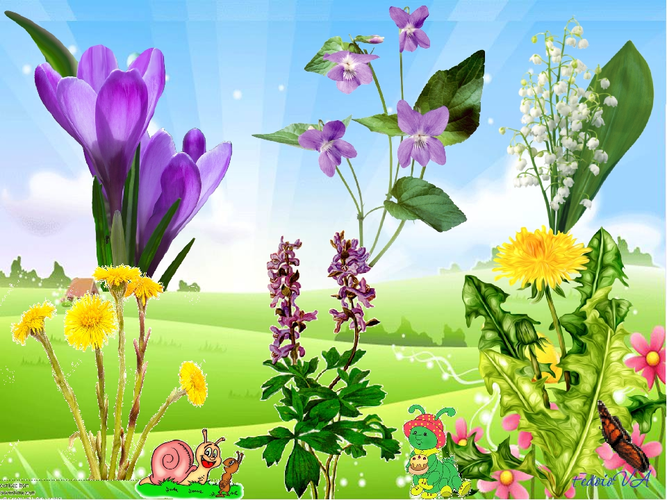Картинки тема цветы. Весенние цветы. Весенние цветы для детского сада. Первоцветы для дошкольников.
