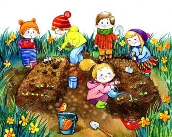 Труд в огороде в детском саду