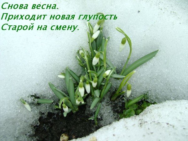Весна пришла