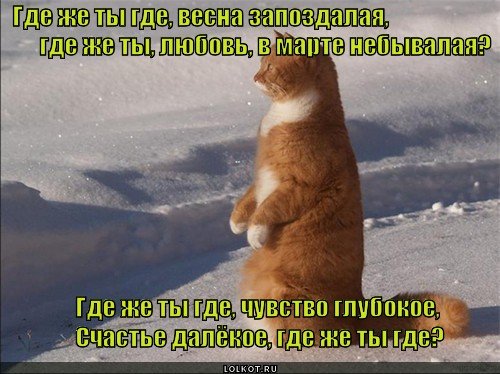 Весна прикольные