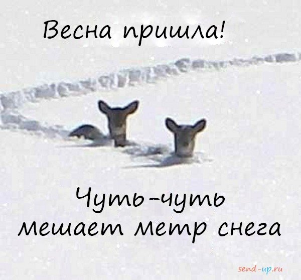 Весна ты где