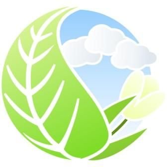 Дерево зимой летом осенью и весной