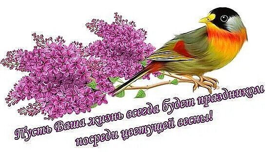 Доброе утро с Вербным воскресеньем