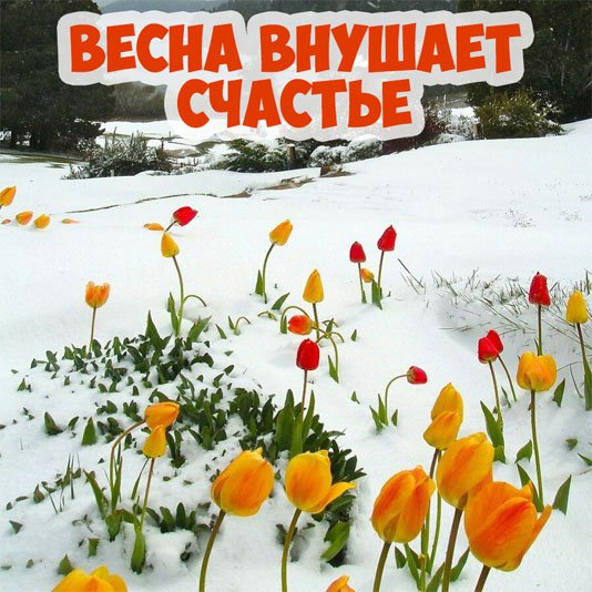 Доброе утро пятница Весна