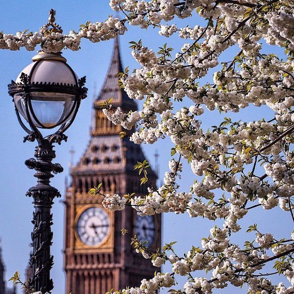 Весна в Лондоне