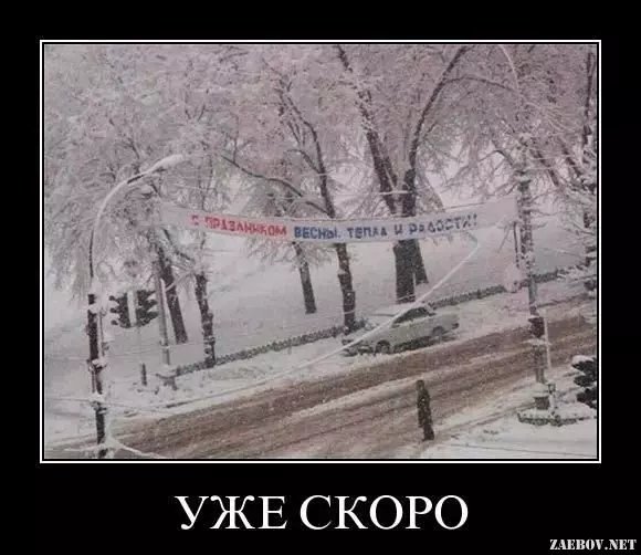 Афоризмы про плохую погоду