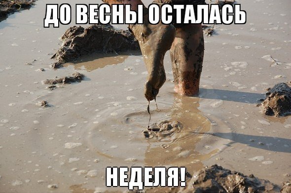 Про грязь весной смешные