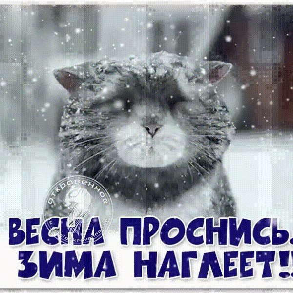 Весна Проснись зима наглеет