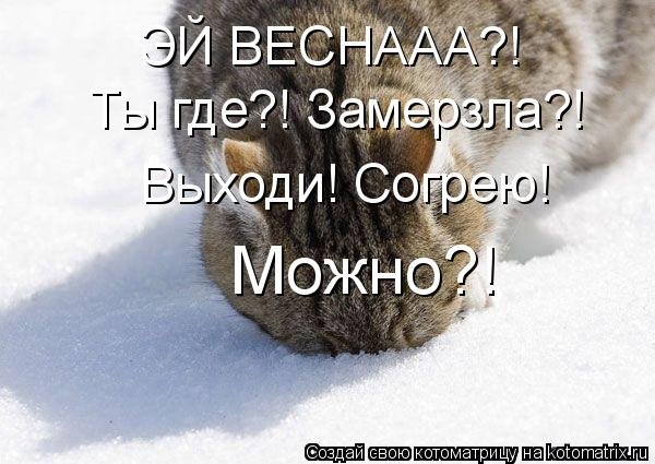 Вот такая Весна