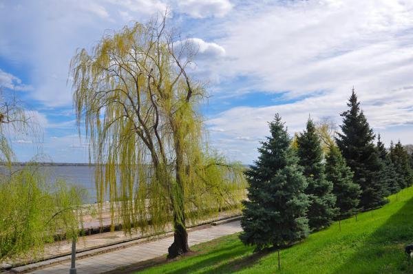 Весна в городе Воронеж