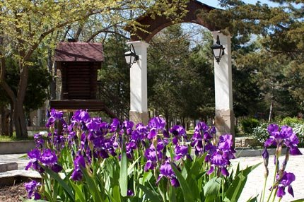 Картинки евпатория весна (70 фото)