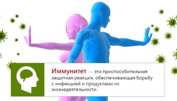 Здоровый человек витамины