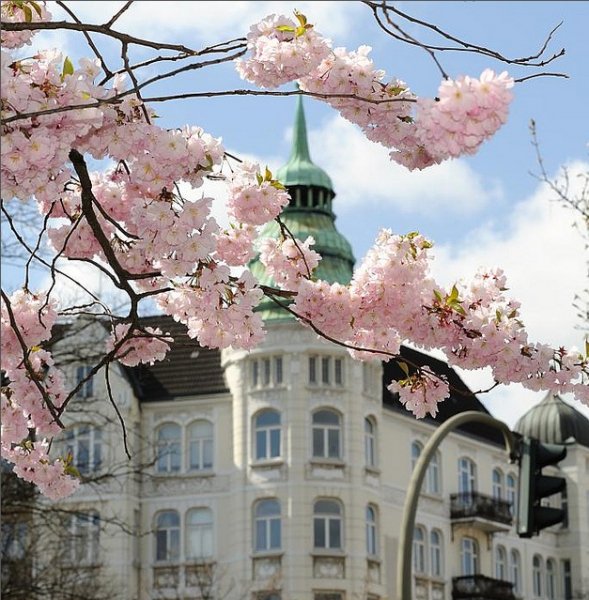 Берлин в апреле фото