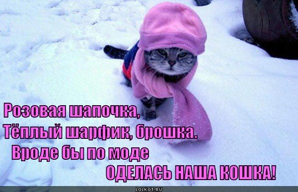 Замерз прикол