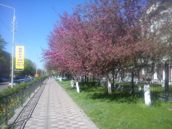 Белгород весной апрель