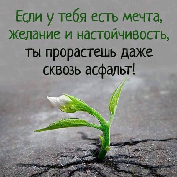 Высказывания о мечте