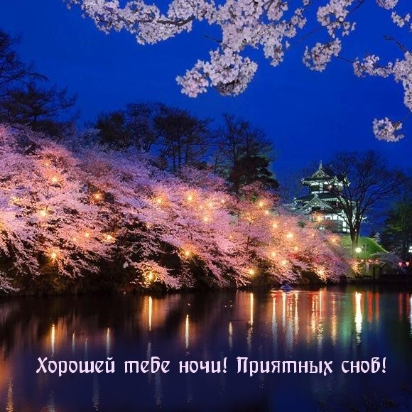 Прекрасной весенней ночи