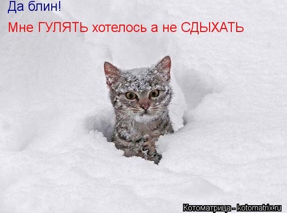 Торчит из сугроба