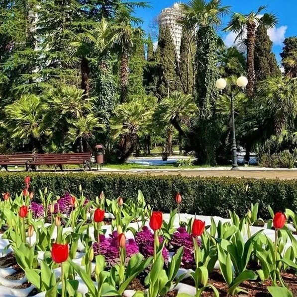 Экскурсия в Сочи Весна