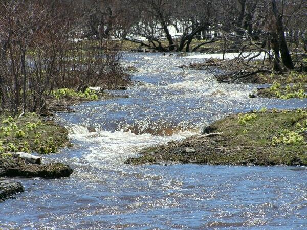 Сахалин весной