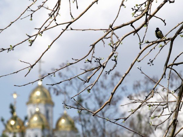 Пост Весна духовная