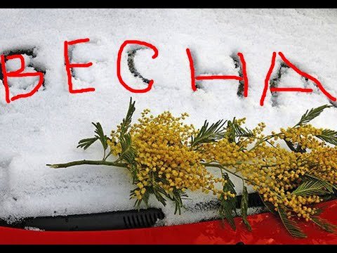 Открытка «Весна»